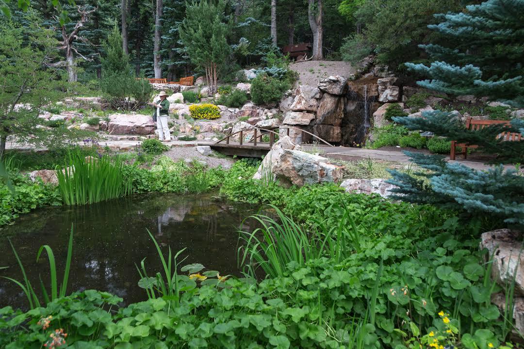 Ogród botaniczny Betty Ford Alpine Gardens