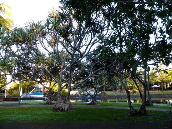 Ogrody w Broadbeach