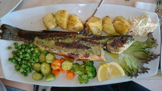 SOFI Family Restaurant