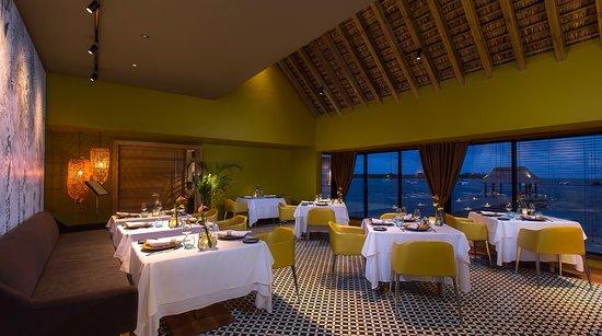 Signature Restaurant