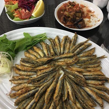 Aydeniz