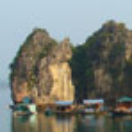 Tea Room Imseng