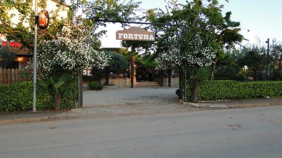 Fortuna