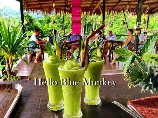Hello Blue Monkey