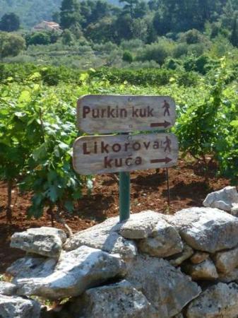 Twierdza Purkin Kuk