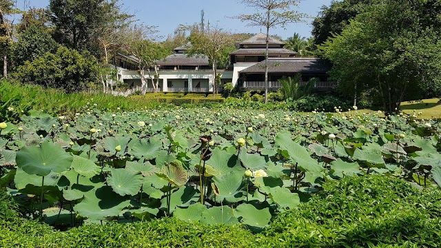 Khlong Muang