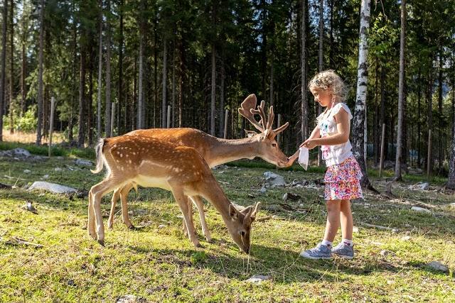 Kid's farm Hunderfossen