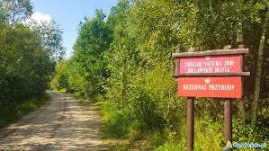 Bielawskie Błoto