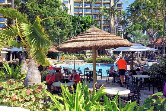 Hau Tree Bar