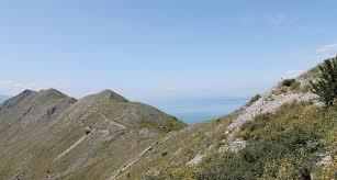 Tarabosh