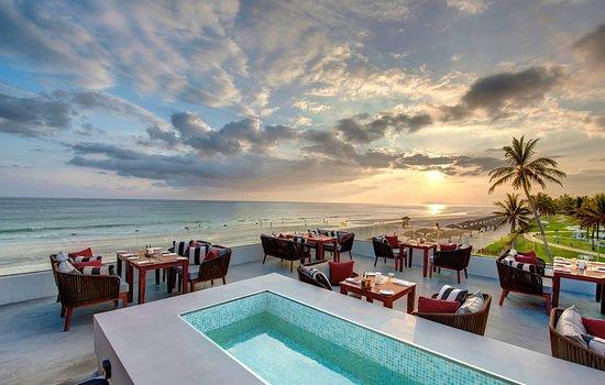 Dolphin Terrazza