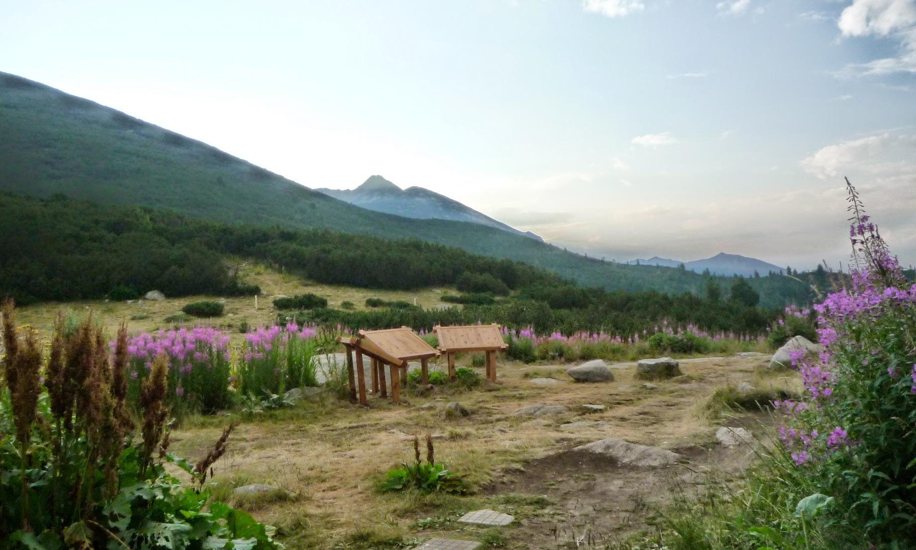 Gmina Bansko
