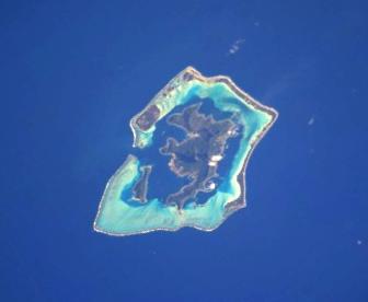 Taufarii
