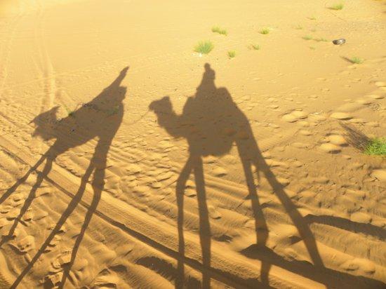 Morocco Dunes Day Tours