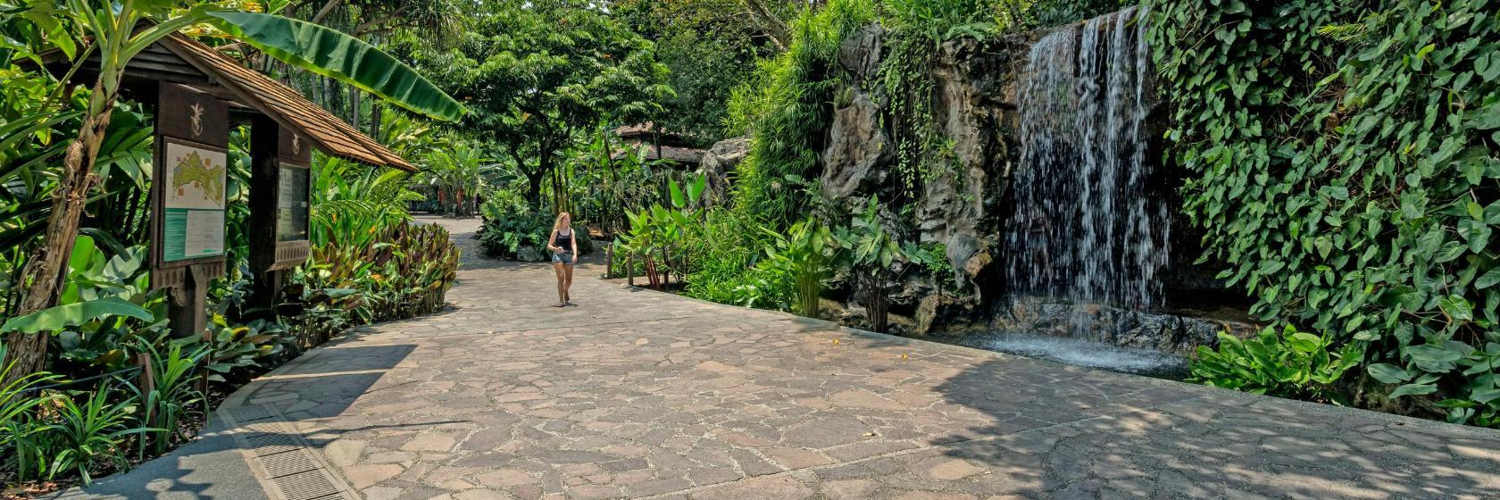 Ogród botaniczny w Singapurze