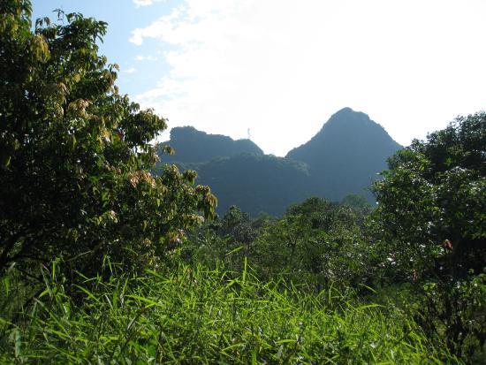 Ngoc Hoa Restaurant