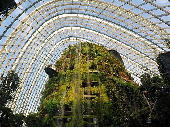 Park rozrywki Cloud Forest
