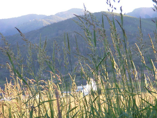 Rezerwat przyrody Swaner EcoCenter