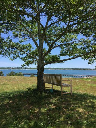 Fort Pond Bay Park