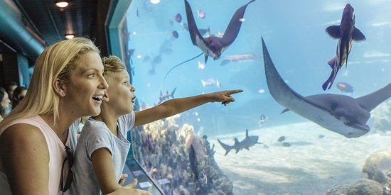 Park rozrywki Sea World