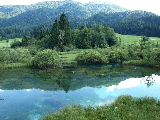 Rezerwat Przyrody Zelenci