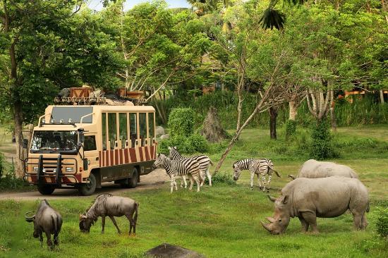 Ogród zoologiczny i park morski Bali Safari & Marine Park