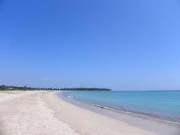Plaża w Pasikuda