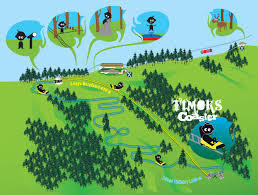 Timoks Wilde Welt