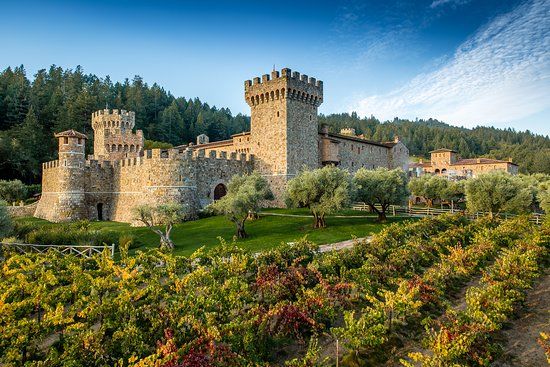 Winnica Castello di Amorosa