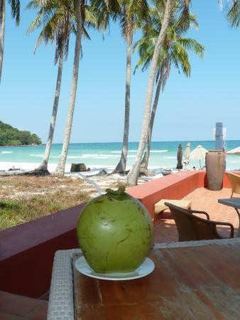 Paradiso Restaurant